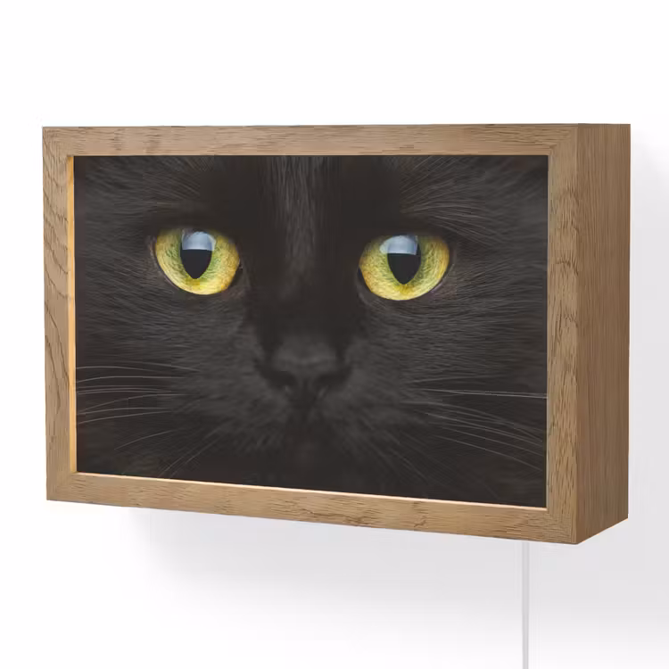 Kat - Zwart - Dieren - Natuur Light Box met kabel (Wandlamp) klein -3d
