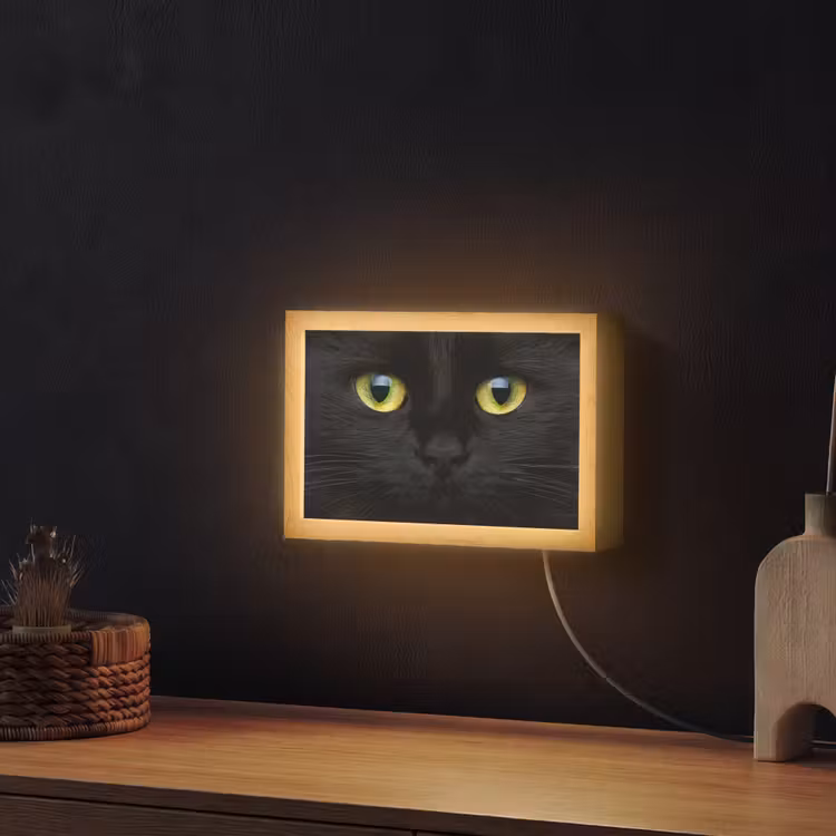 Kat - Zwart - Dieren - Natuur Light Box met kabel (Wandlamp) klein -sfeer1