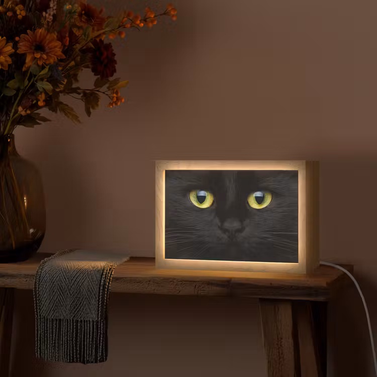 Kat - Zwart - Dieren - Natuur Light Box met kabel (Wandlamp) klein -sfeer4