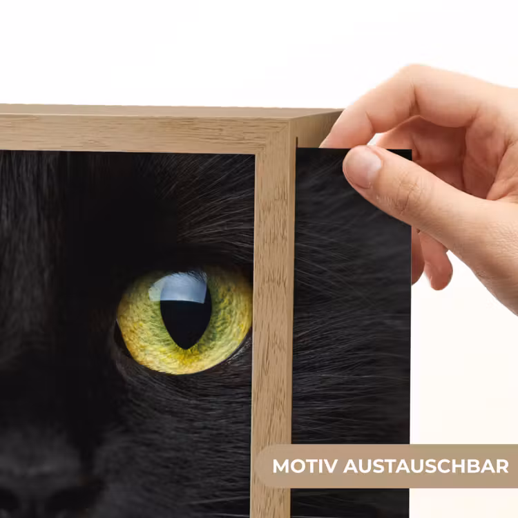 Kat - Zwart - Dieren - Natuur Light Box met kabel (Wandlamp) klein -USP_websiteprintDE