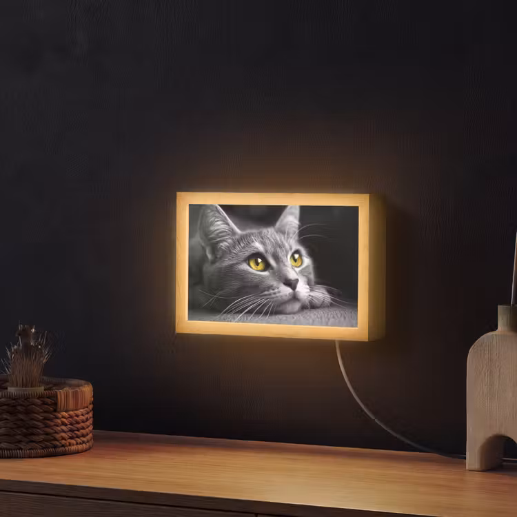 Kat - Zwart - Wit - Dieren - Natuur Light Box met kabel (Wandlamp) klein -sfeer1