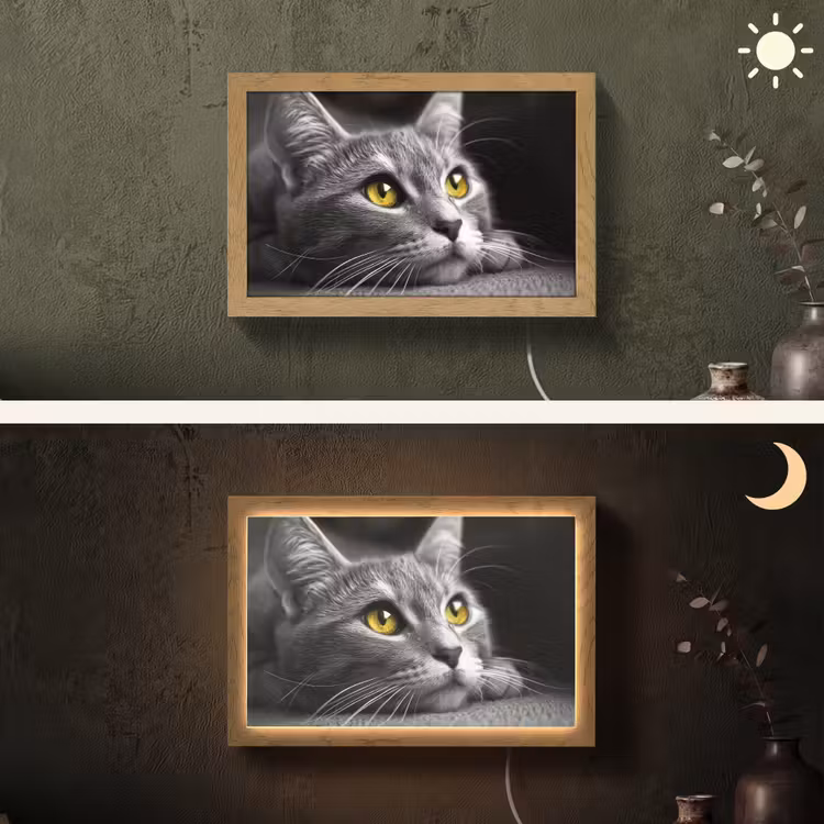 Kat - Zwart - Wit - Dieren - Natuur Light Box met kabel (Wandlamp) klein -sfeer3