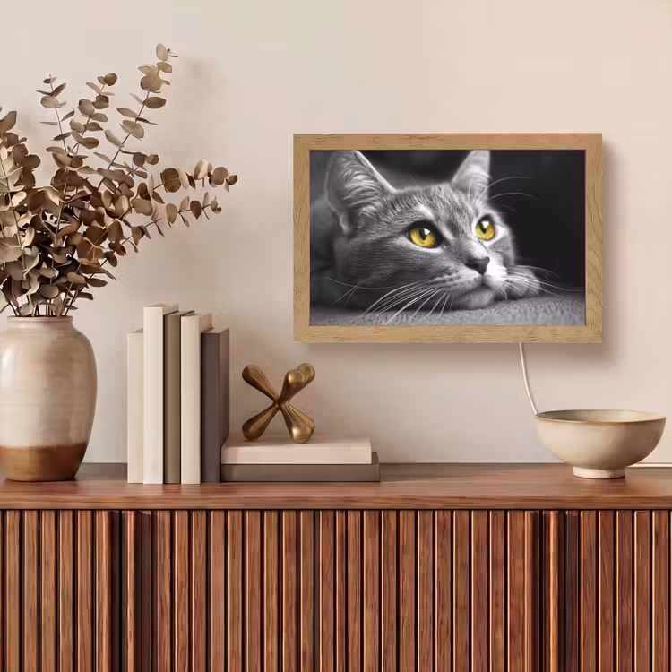 Kat - Zwart - Wit - Dieren - Natuur Light Box met kabel (Wandlamp) klein -sfeer2
