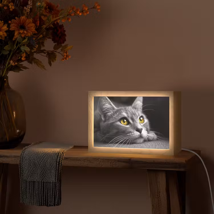 Kat - Zwart - Wit - Dieren - Natuur Light Box met kabel (Wandlamp) klein -sfeer4