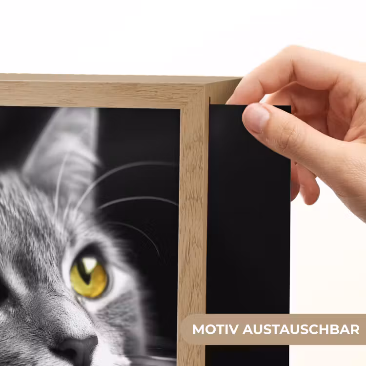 Kat - Zwart - Wit - Dieren - Natuur Light Box met kabel (Wandlamp) klein -USP_websiteprintDE