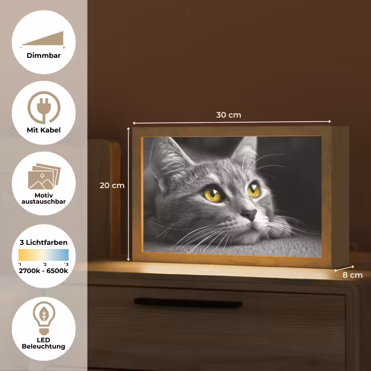 Kat - Zwart - Wit - Dieren - Natuur Light Box met kabel (Wandlamp) klein -USP_websiteoverzichtDE