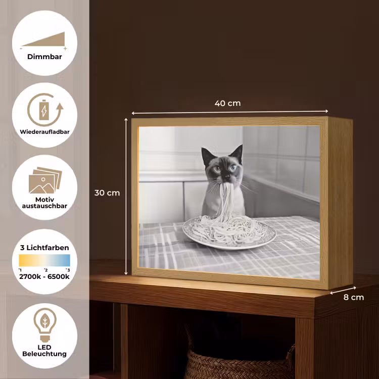 Kat - Siamees - Zwart Wit - Schattig - Dieren Light Box met batterij (Wandlamp) middel -USP_websiteoverzichtDE