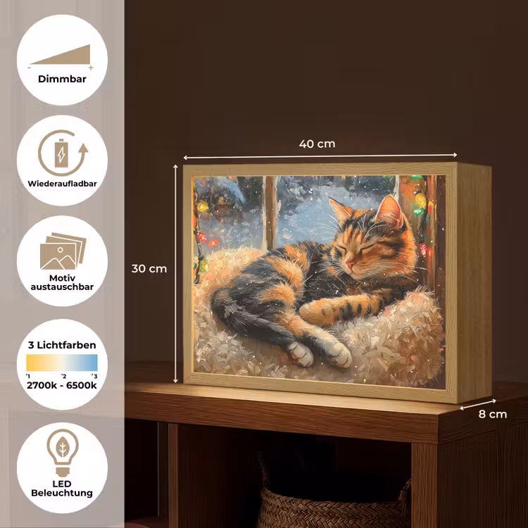 Kat - Kerst - Winter - Dier Light Box met batterij (Wandlamp) middel -USP_websiteoverzichtDE