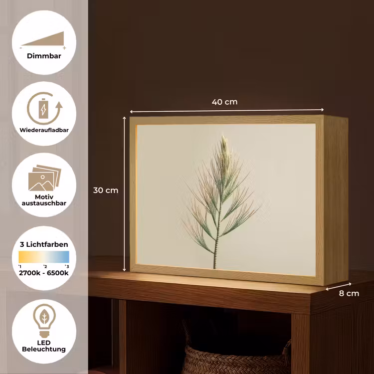 Dennentak - Naaldvormige bladeren - Lichtgroen Light Box met batterij (Wandlamp) middel -USP_websiteoverzichtDE