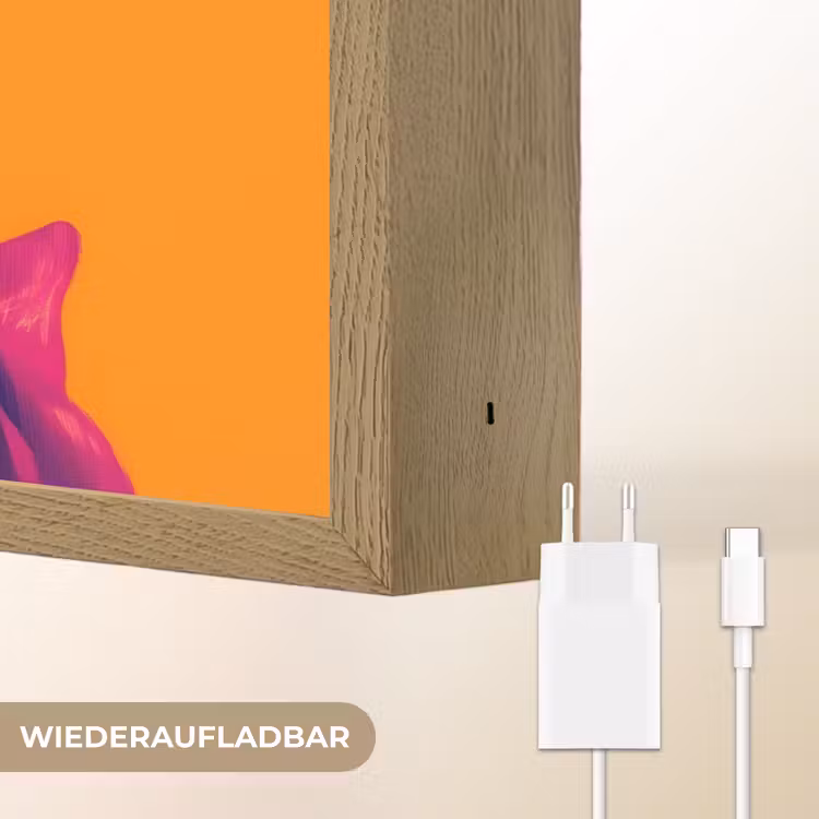 Kimono - Hondje - Bloemenkroon - Oranje Light Box met batterij (Wandlamp) middel -USP_websiteoplaadbaarDE