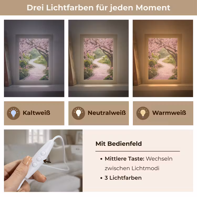 Kersenbloesem - Natuur - Sakura - Pad - Japanse tuin Light Box met kabel (Wandlamp) klein -USP_lichtkleurDE