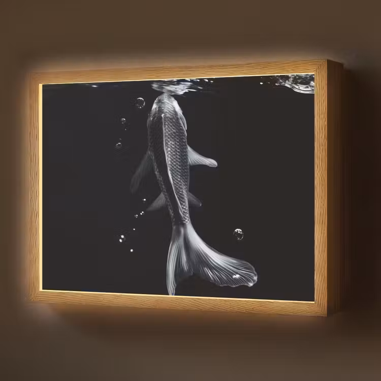 Koi - Vissen - Water - Zwart Light Box met batterij (Wandlamp) middel -z3d_website