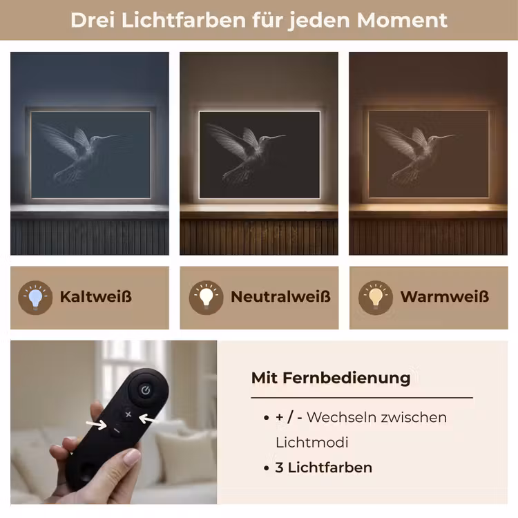 Kolibrie - Zwart - Dieren Light Box met batterij (Wandlamp) middel -USP_lichtkleurDE