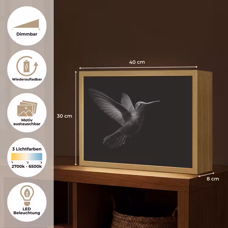 Kolibrie - Zwart - Dieren Light Box met batterij (Wandlamp) middel -USP_websiteoverzichtDE