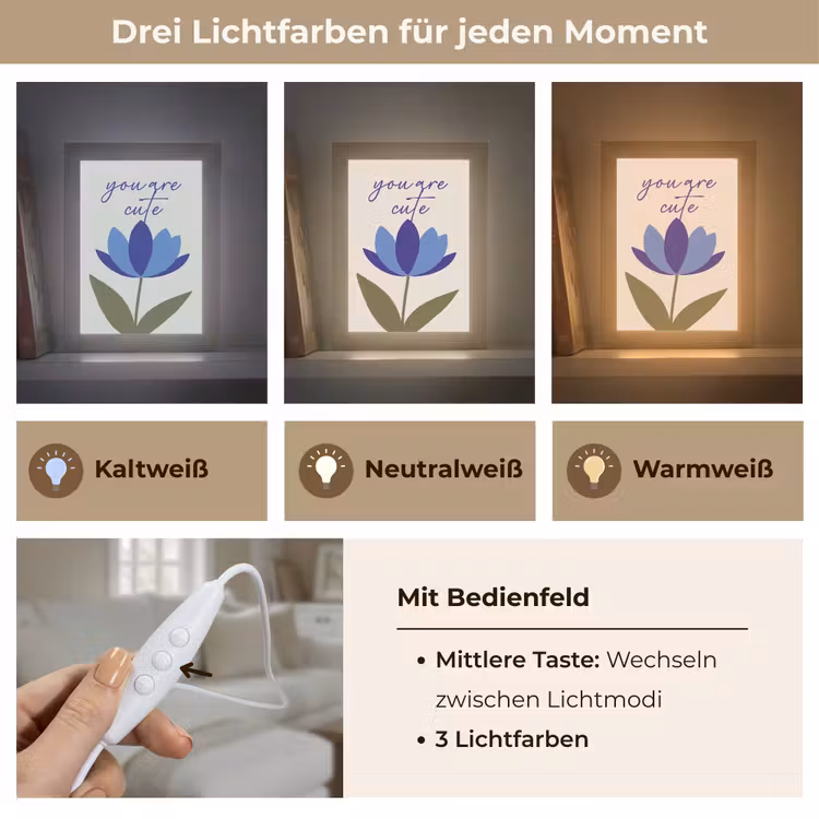 Korenbloem - Valentijn - Bloem - Blauw Light Box met kabel (Wandlamp) klein -USP_lichtkleurDE