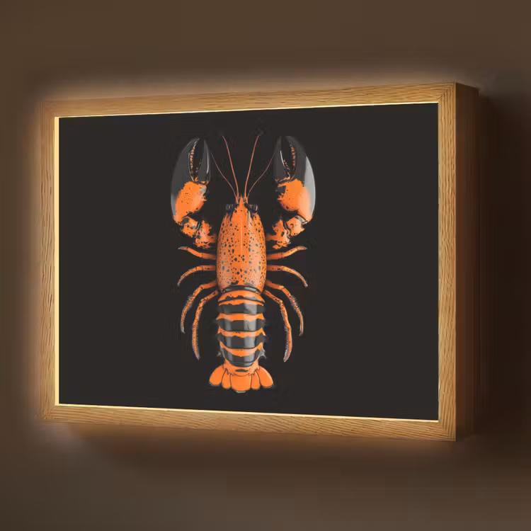 Kreeft - Oranje - Zwart - Modern Light Box met batterij (Wandlamp) middel -z3d_website