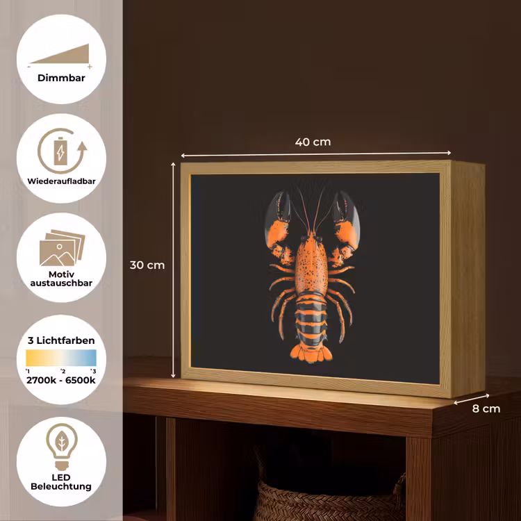 Kreeft - Oranje - Zwart - Modern Light Box met batterij (Wandlamp) middel -USP_websiteoverzichtDE
