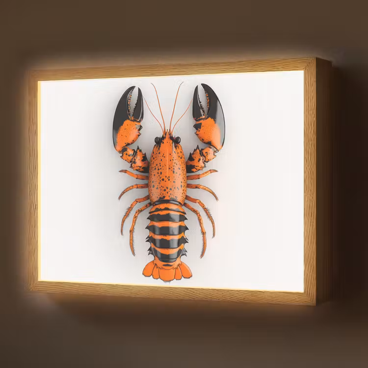 Kreeft - Zwart - Oranje - Wit - Uniek Light Box met batterij (Wandlamp) middel -z3d_website