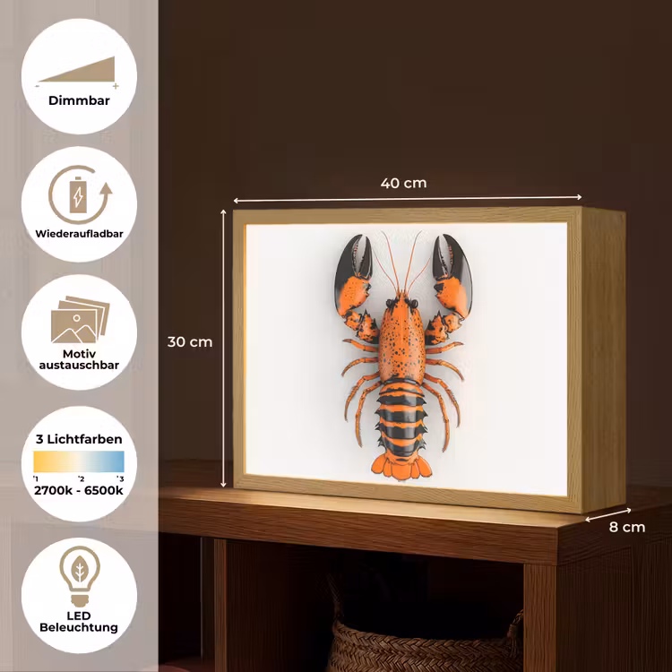 Kreeft - Zwart - Oranje - Wit - Uniek Light Box met batterij (Wandlamp) middel -USP_websiteoverzichtDE