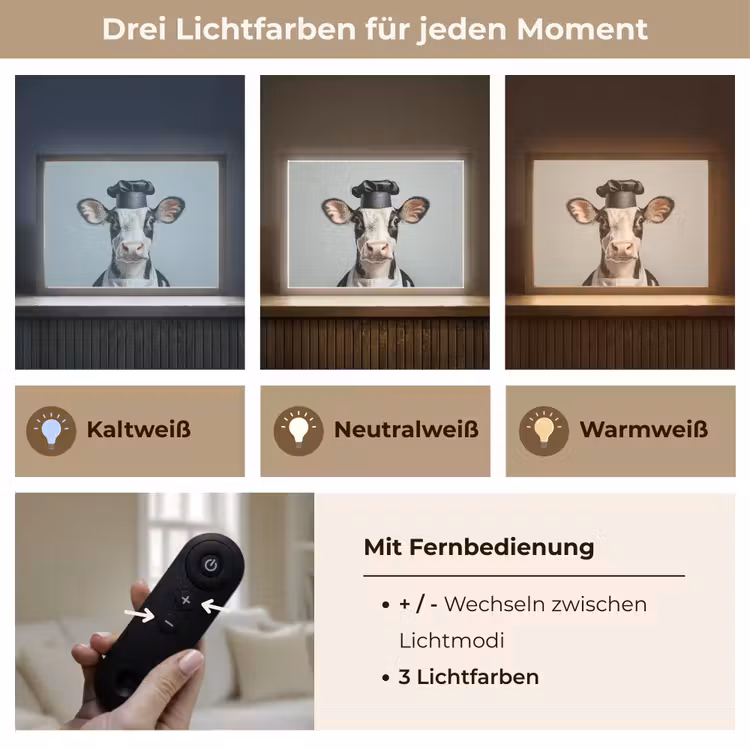 Koe - Zwart - Wit - Kok Light Box met batterij (Wandlamp) middel -USP_lichtkleurDE