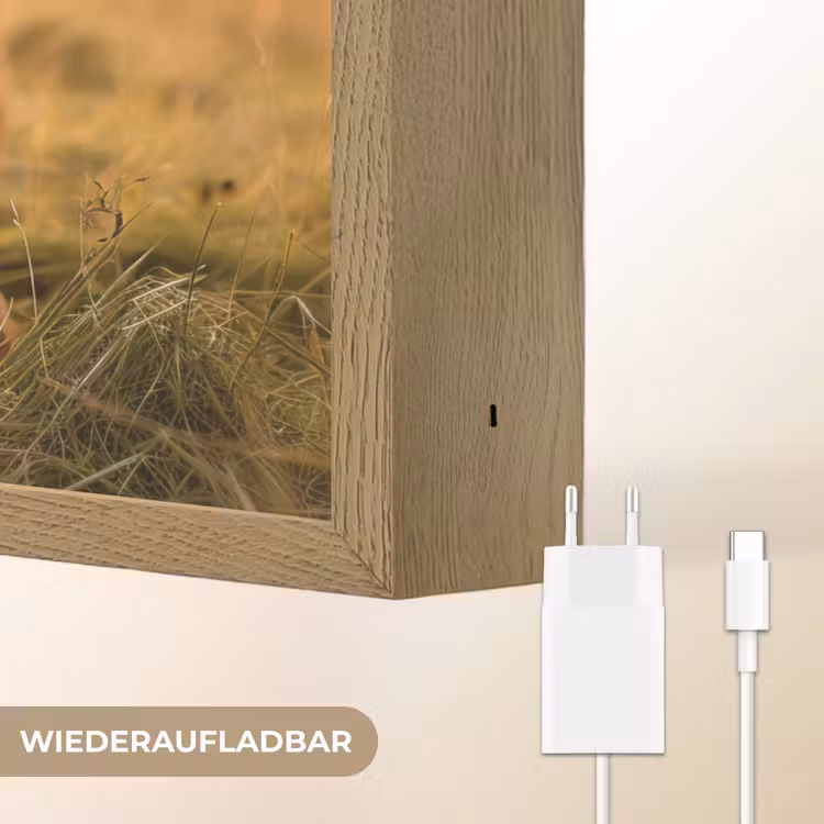 Koe - Dier - Weiland - Gras - Dieren - Natuur Light Box met batterij (Wandlamp) middel -USP_websiteoplaadbaarDE