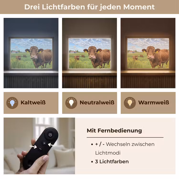 Koe - Weide - Bloemen Light Box met batterij (Wandlamp) middel -USP_lichtkleurDE