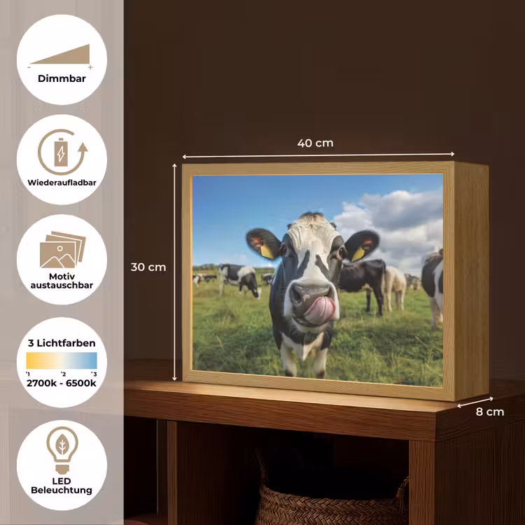 Koe - Tong - Weide Light Box met batterij (Wandlamp) middel -USP_websiteoverzichtDE