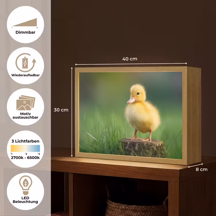 Kuiken - Eend - Geel - Gras Light Box met batterij (Wandlamp) middel -USP_websiteoverzichtDE