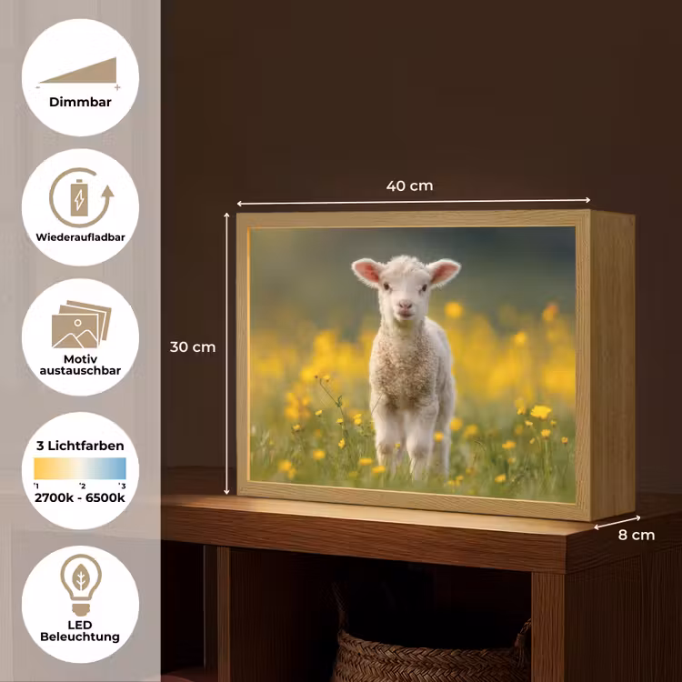 Lammetje - Gras - Bloemen - Geel Light Box met batterij (Wandlamp) middel -USP_websiteoverzichtDE