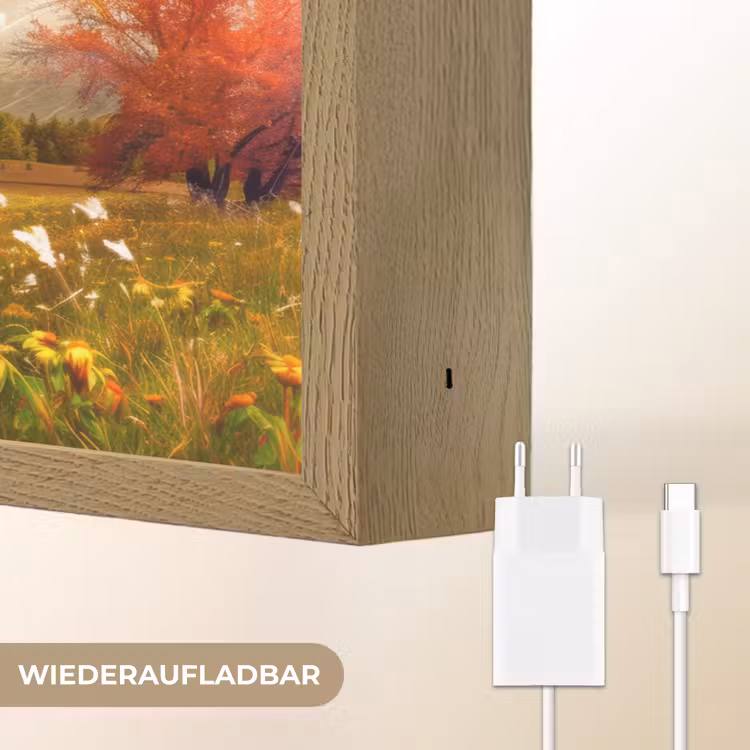 Landschap - 4 seizoenen - Natuur - Winter - Lente - Zomer - Herfst Light Box met batterij (Wandlamp) middel -USP_websiteoplaadbaarDE