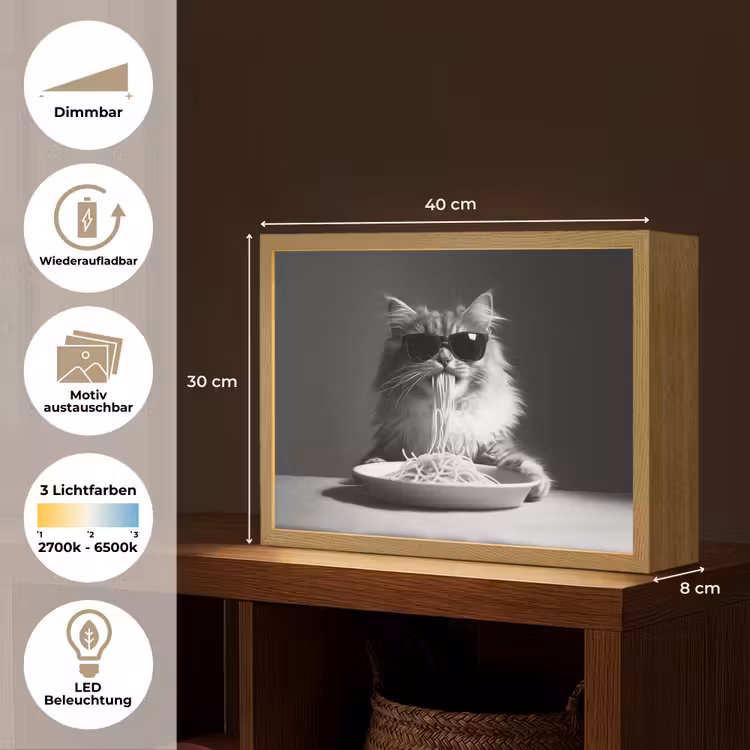 Langharige kat - Zonnebril - Spaghetti - Humor - Zwart - wit Light Box met batterij (Wandlamp) middel -USP_websiteoverzichtDE
