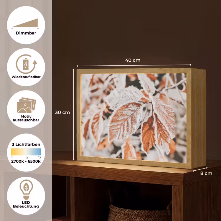 Bladeren - IJs - Winter - Natuur Light Box met batterij (Wandlamp) middel -USP_websiteoverzichtDE