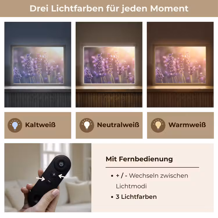 Lavendelbloemen - Paars - Zonlicht Light Box met batterij (Wandlamp) middel -USP_lichtkleurDE
