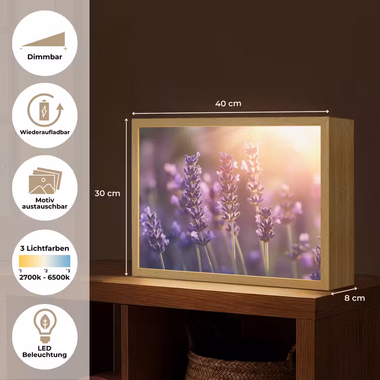 Lavendelbloemen - Paars - Zonlicht Light Box met batterij (Wandlamp) middel -USP_websiteoverzichtDE