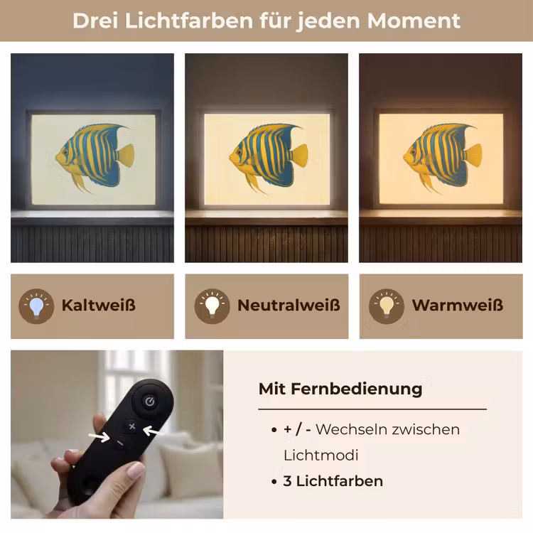 Felgeel - Vis - Strepen - Vinnen Light Box met batterij (Wandlamp) middel -USP_lichtkleurDE