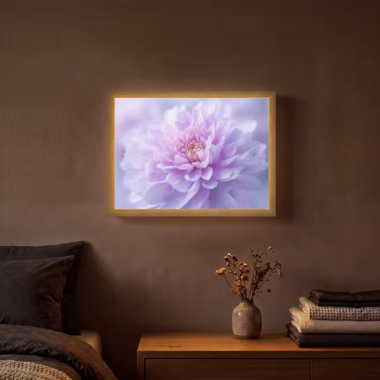 Paars - Dahlia - Dromerig Light Box met batterij (Wandlamp) middel -sfeer4