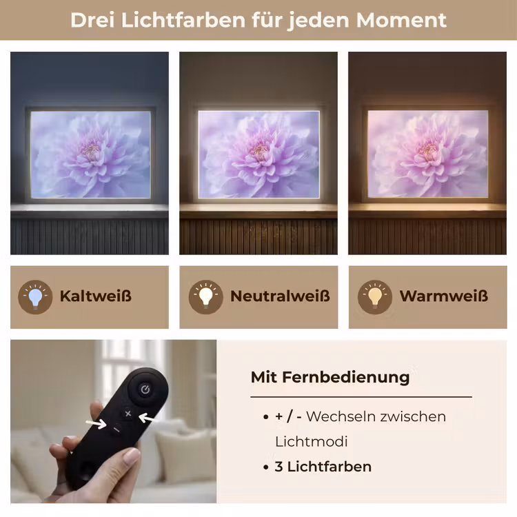 Paars - Dahlia - Dromerig Light Box met batterij (Wandlamp) middel -USP_lichtkleurDE