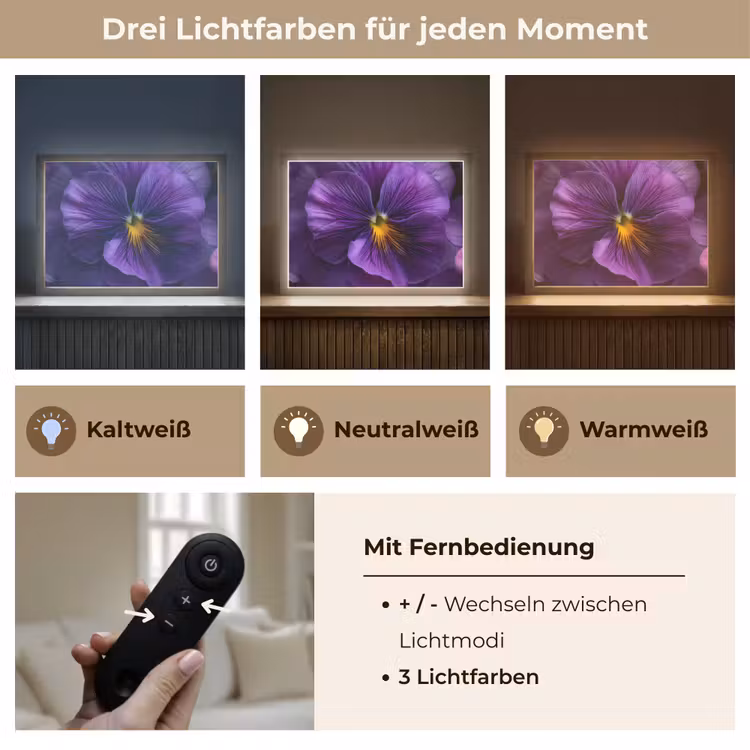 Paars - Viool - Diepte Light Box met batterij (Wandlamp) middel -USP_lichtkleurDE