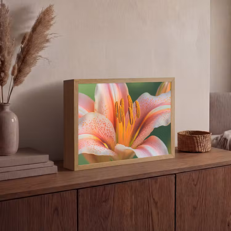 Lelie - Close up - Lichtroze Light Box met batterij (Wandlamp) middel -sfeer2