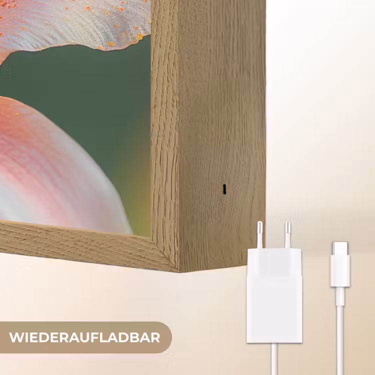 Lelie - Close up - Lichtroze Light Box met batterij (Wandlamp) middel -USP_websiteoplaadbaarDE