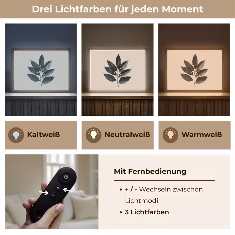 Laurierbladeren - Bloemknoppen - subtiel Light Box met batterij (Wandlamp) middel -USP_lichtkleurDE