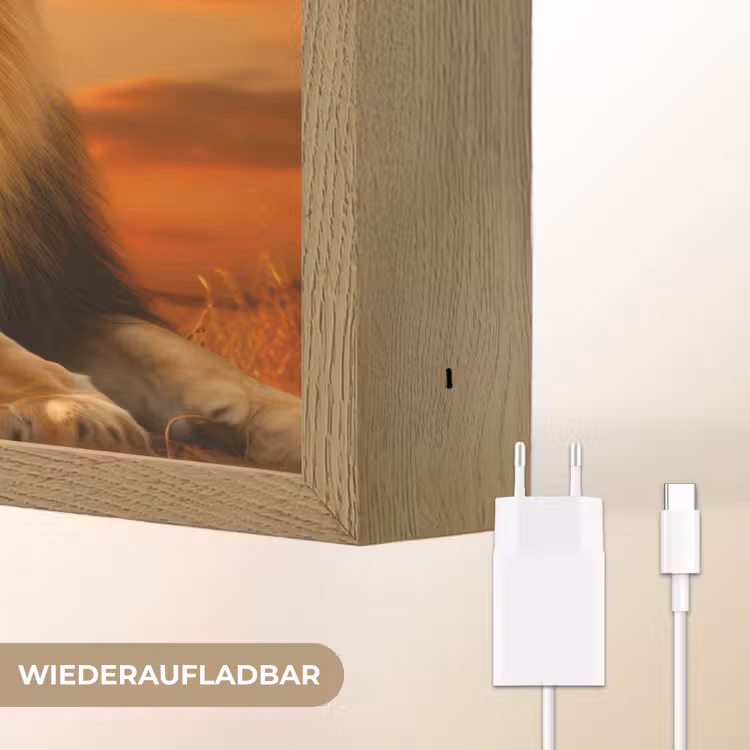 Leeuwen - Zonsondergang - Afrika - Savanne - Dieren Light Box met batterij (Wandlamp) middel -USP_websiteoplaadbaarDE