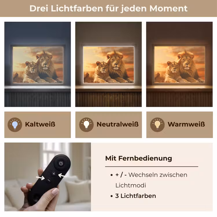 Leeuwen - Zonsondergang - Afrika - Savanne - Dieren Light Box met batterij (Wandlamp) middel -USP_lichtkleurDE