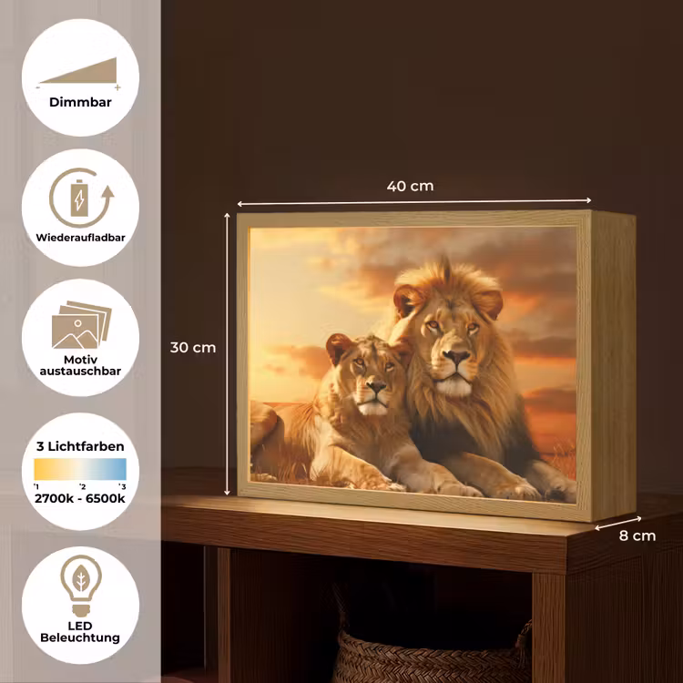 Leeuwen - Zonsondergang - Afrika - Savanne - Dieren Light Box met batterij (Wandlamp) middel -USP_websiteoverzichtDE