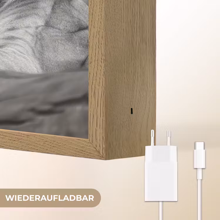 Leeuwen - Dieren - Zwart - Wit - Leeuw Light Box met batterij (Wandlamp) middel -USP_websiteoplaadbaarDE