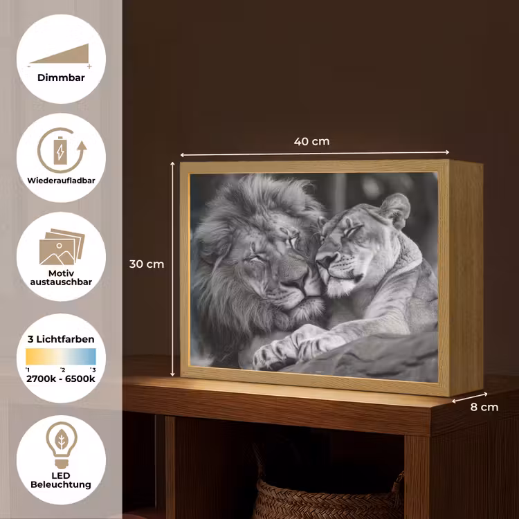 Leeuwen - Dieren - Zwart - Wit - Leeuw Light Box met batterij (Wandlamp) middel -USP_websiteoverzichtDE