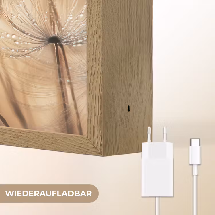 Paardenbloem - Abstract - Natuur - Beige Light Box met batterij (Wandlamp) middel -USP_websiteoplaadbaarDE