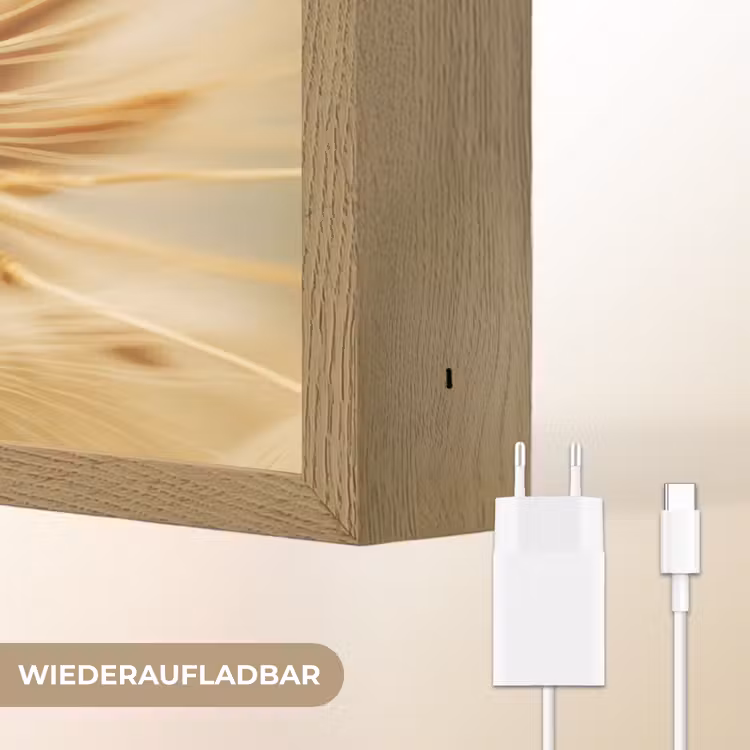 Paardenbloem - Beige - Abstract - Modern - Natuur Light Box met batterij (Wandlamp) middel -USP_websiteoplaadbaarDE
