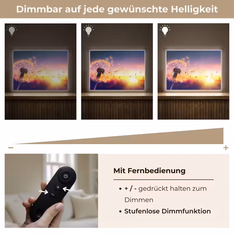 Paardenbloem - Bloemen - Zonsondergang - Horizon - Nacht Light Box met batterij (Wandlamp) middel -USP_dimbaarDE
