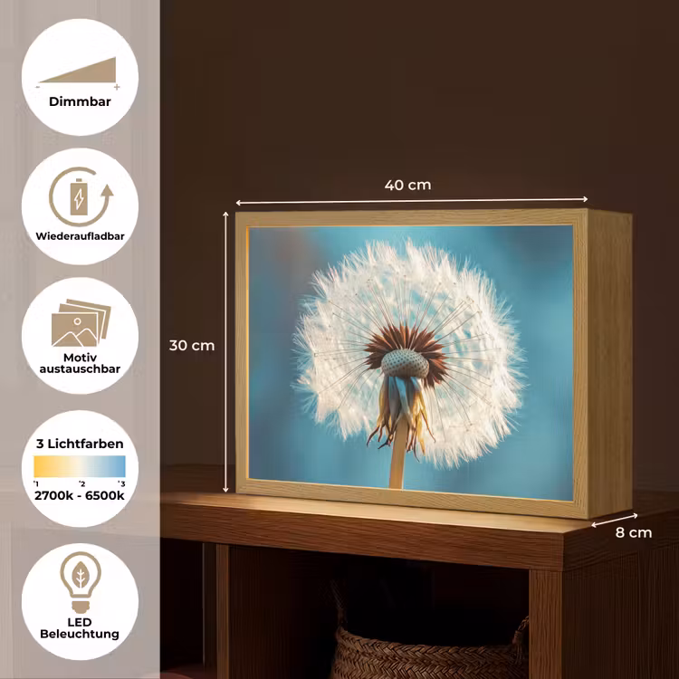 Paardenbloem - Natuur - Bloemen - Blauw Light Box met batterij (Wandlamp) middel -USP_websiteoverzichtDE
